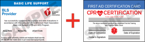 Sample American Heart Association AHA BLS CPR Card Certificaiton and First Aid Certification Card from CPR Certification Tucson