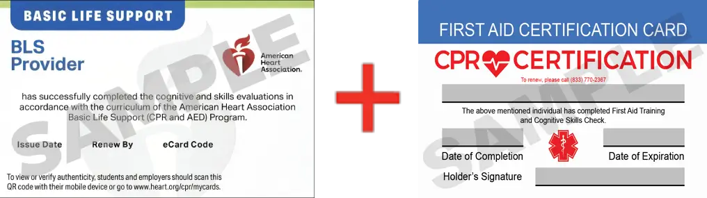 Sample American Heart Association AHA BLS CPR Card Certification and First Aid Certification Card from CPR Certification Tucson